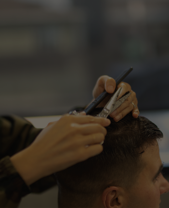 Haircutting Bravo Barber Spa